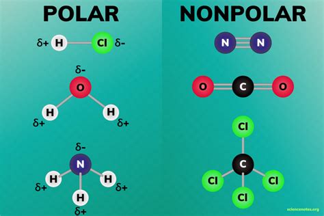 alluc polar